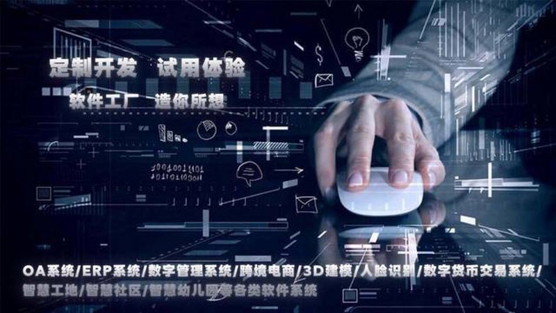 软件开发行业新动态:重庆市场如何把握机遇?